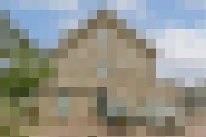 Europarei 52 Uithoorn thumbnail 6