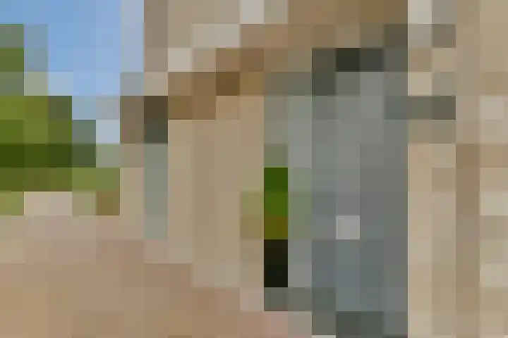 Europarei 52 Uithoorn thumbnail 7