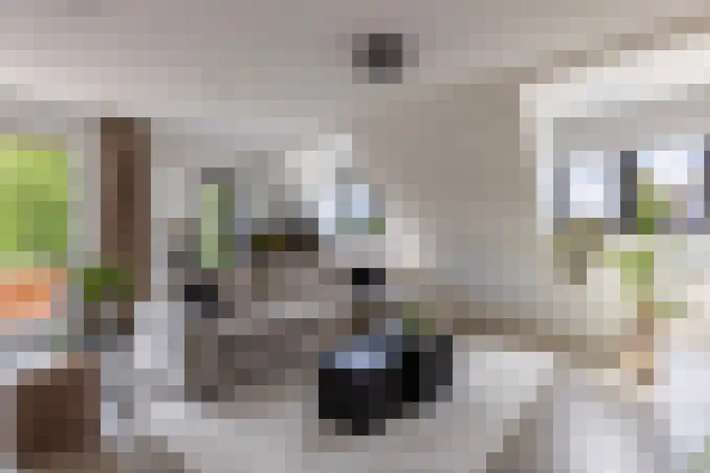 Europasingel 1 B Lopik thumbnail 12