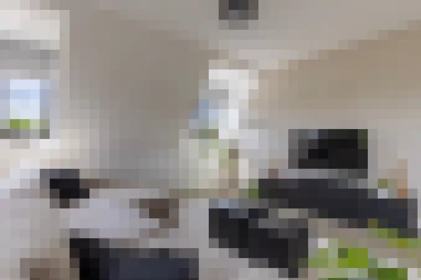 Europasingel 1 B Lopik thumbnail 13