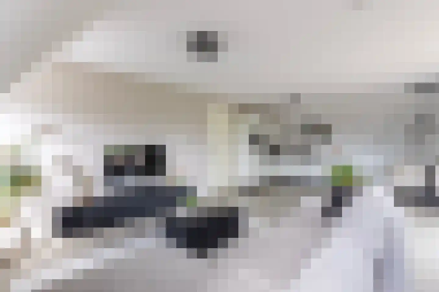 Europasingel 1 B Lopik thumbnail 14