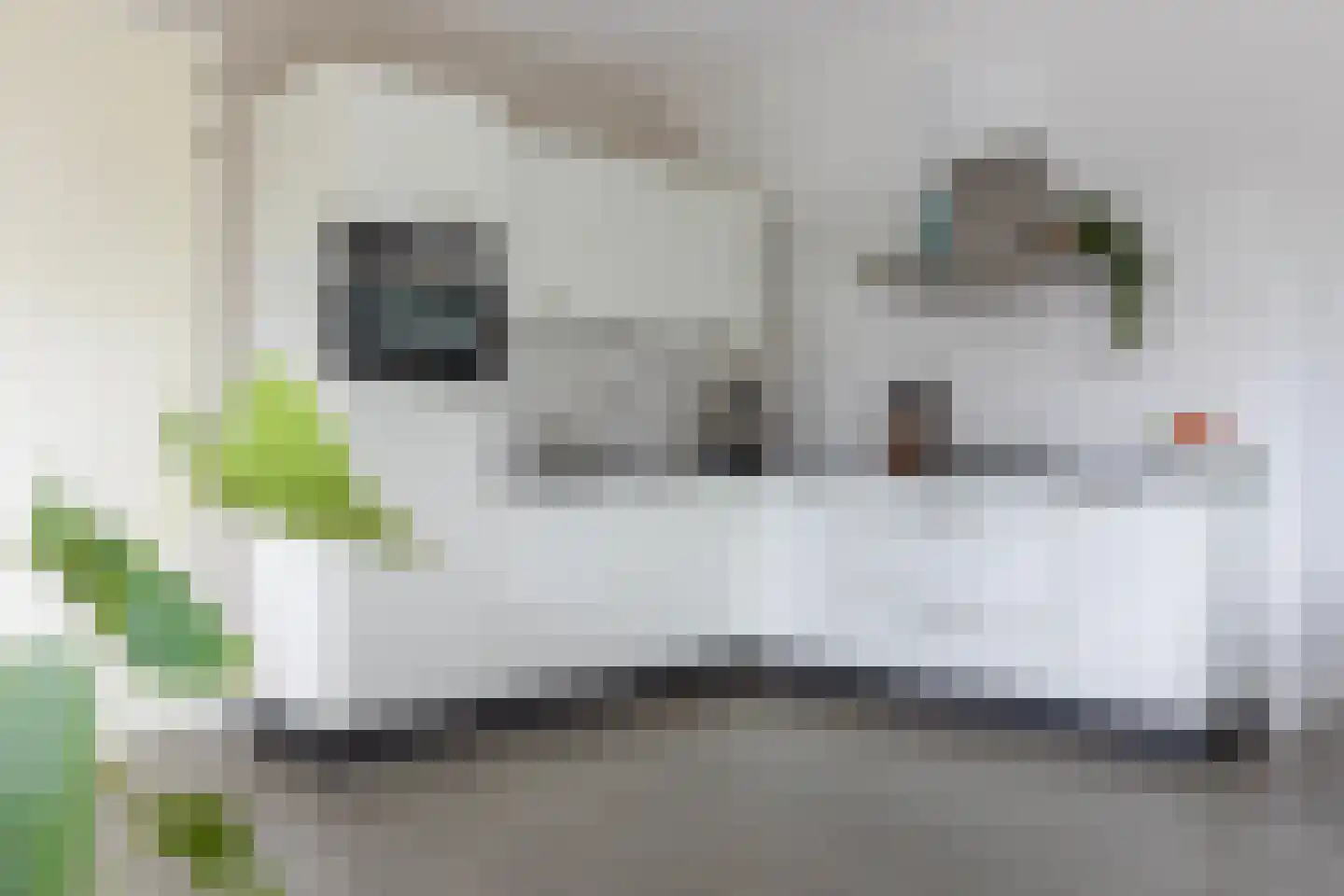 Europasingel 1 B Lopik thumbnail 16