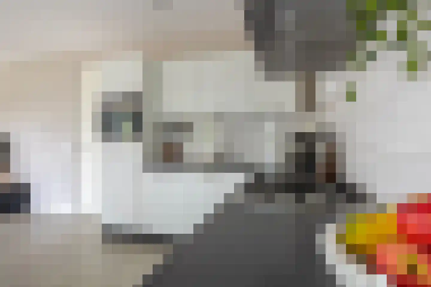 Europasingel 1 B Lopik thumbnail 18