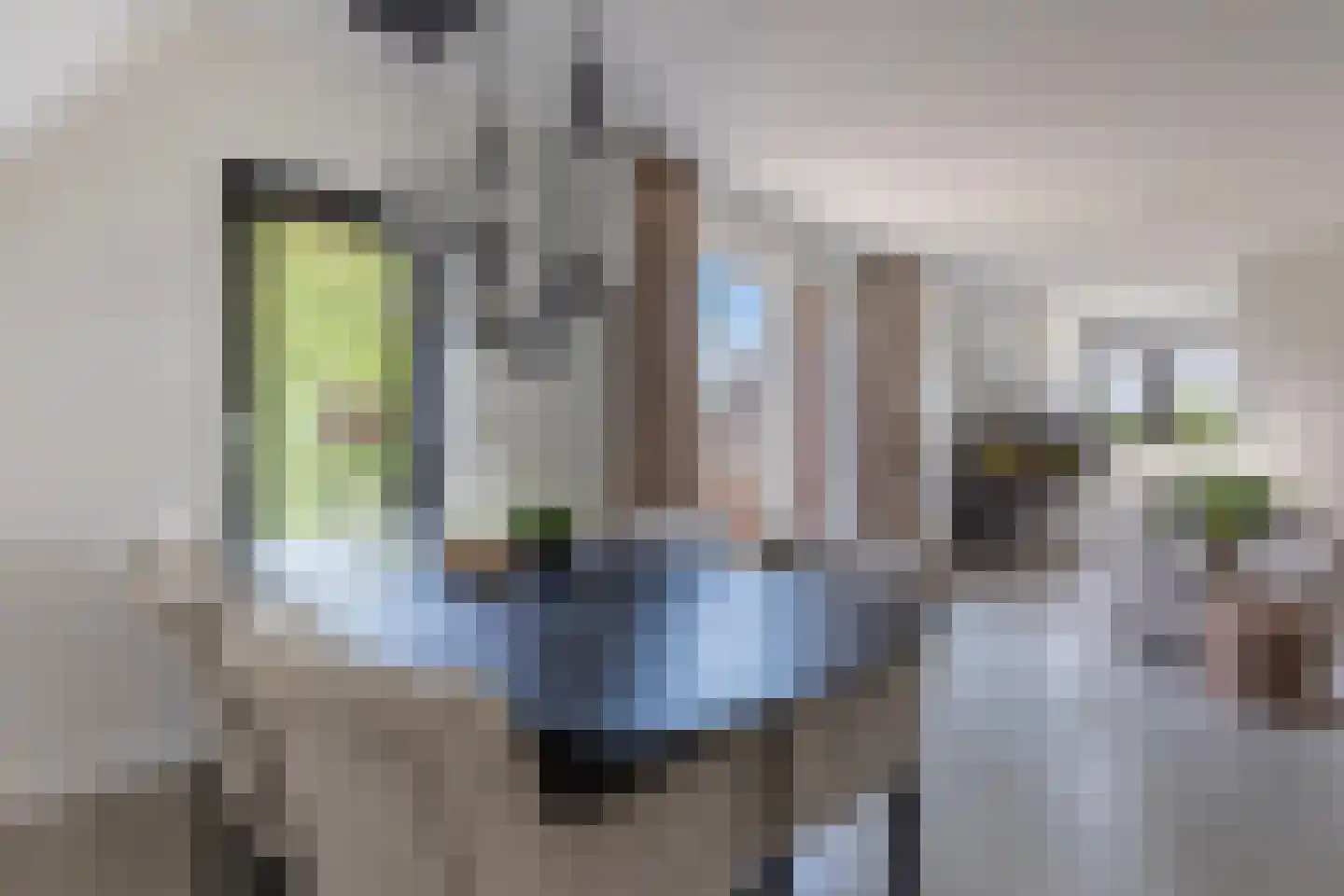 Europasingel 1 B Lopik thumbnail 21