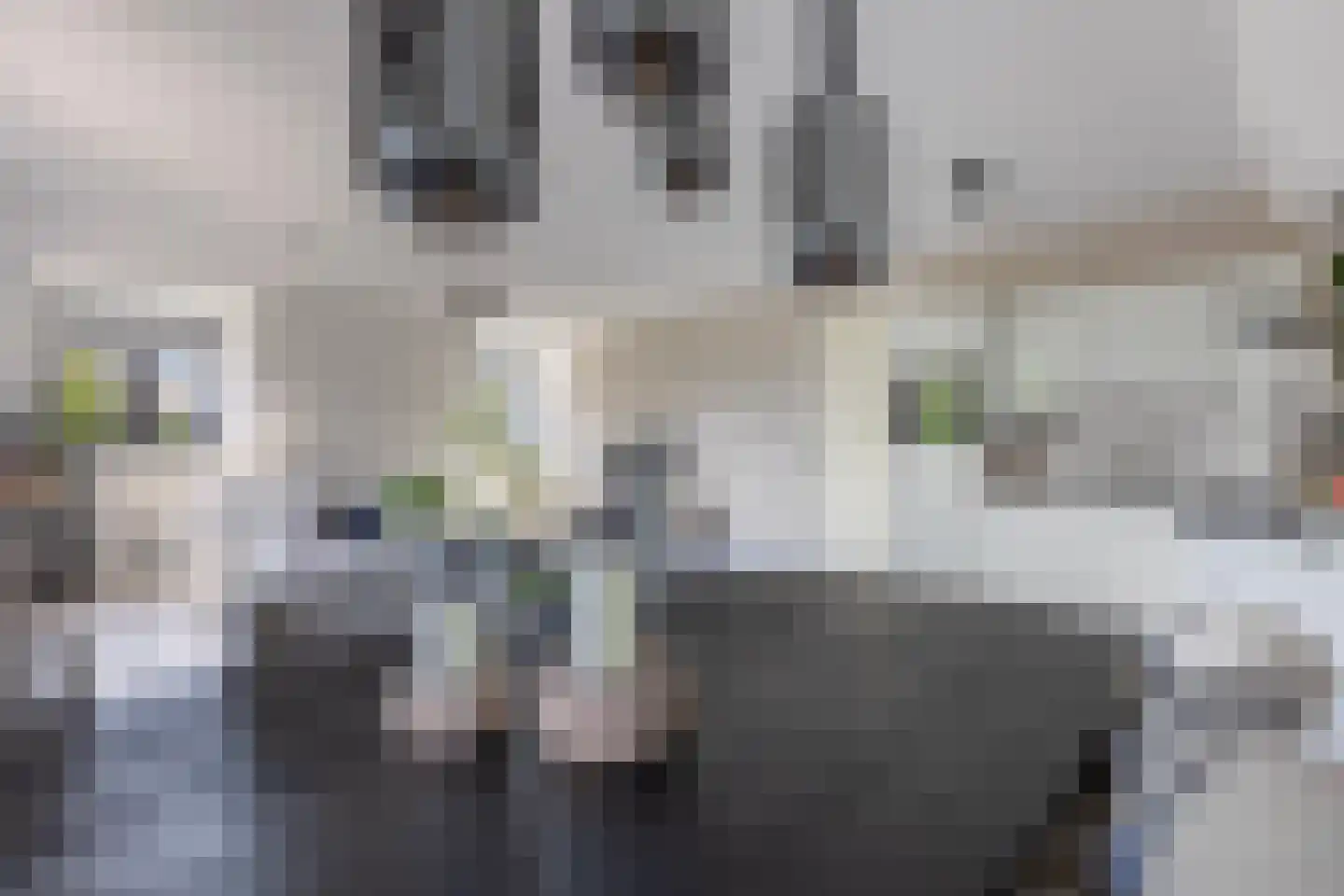 Europasingel 1 B Lopik thumbnail 22