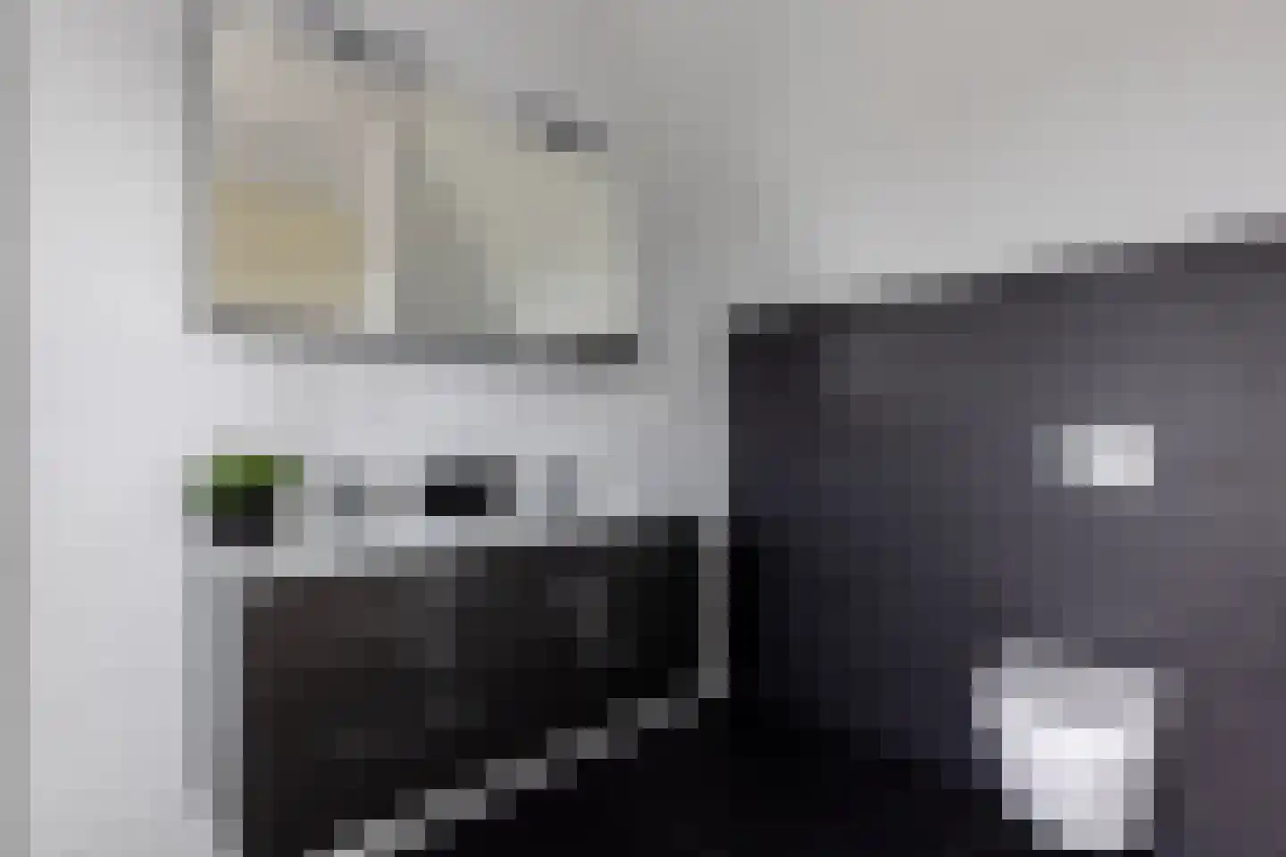 Europasingel 1 B Lopik thumbnail 37