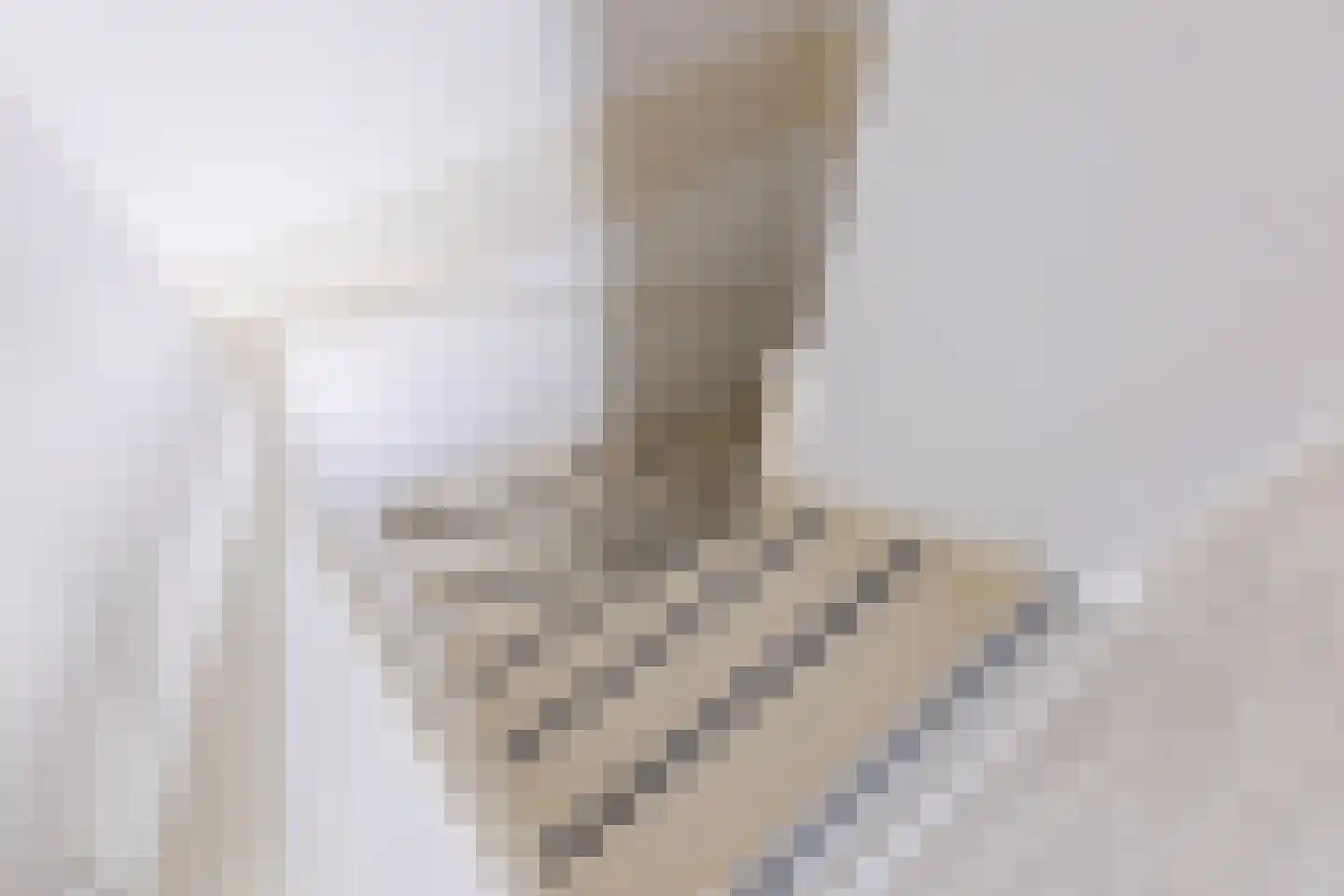 Europasingel 1 B Lopik thumbnail 43