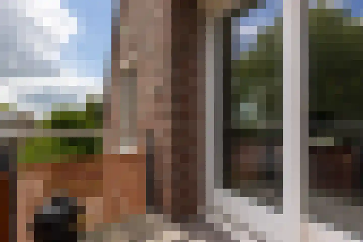 Europasingel 1 B Lopik thumbnail 48