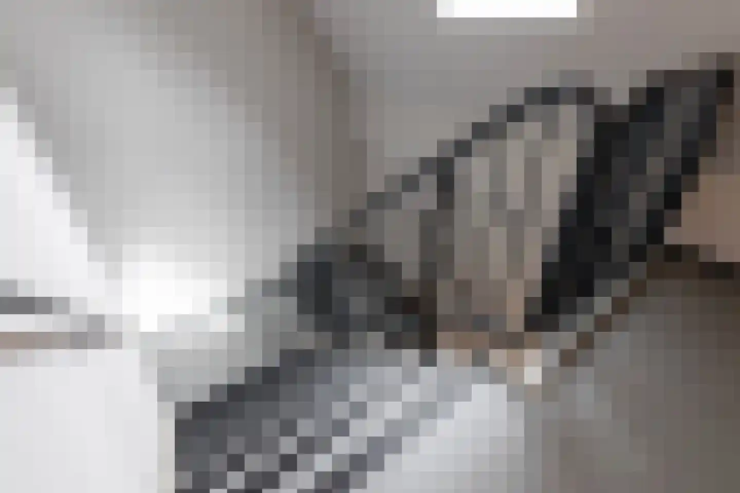 Europasingel 1 B Lopik thumbnail 50
