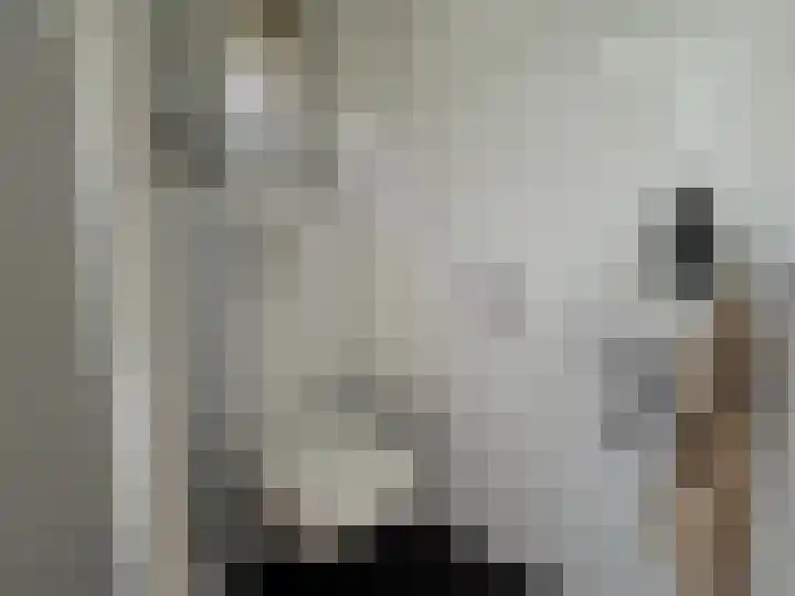 Europasingel 10 Wervershoof thumbnail 12