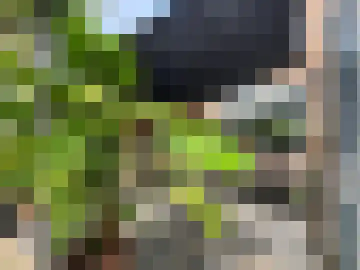 Europasingel 10 Wervershoof thumbnail 21