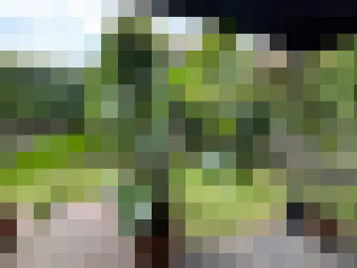 Europasingel 10 Wervershoof thumbnail 23