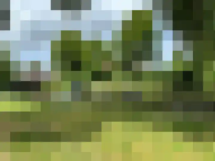 Europasingel 10 Wervershoof thumbnail 32