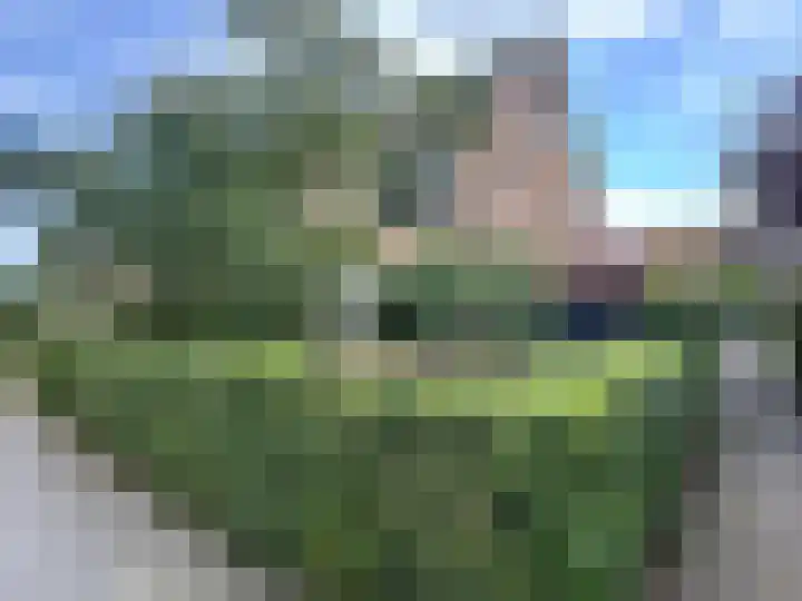 Europasingel 10 Wervershoof thumbnail 5