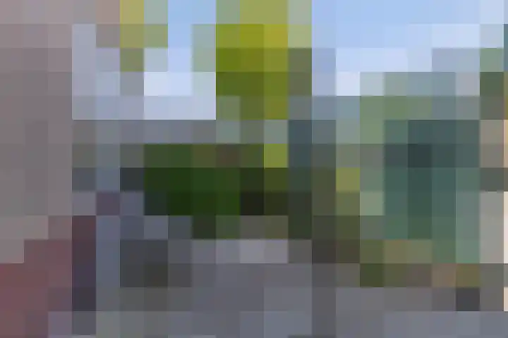 Europasingel 110 Bergschenhoek thumbnail 12