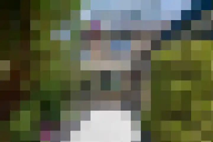 Europasingel 110 Bergschenhoek thumbnail 5