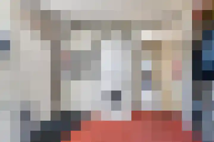 Europasingel 110 Bergschenhoek thumbnail 7