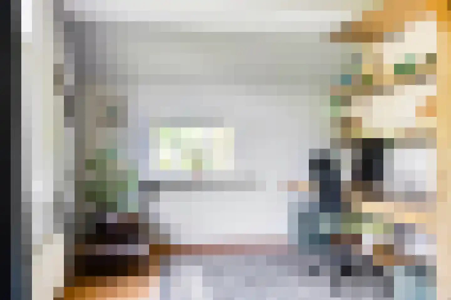 Europasingel 2 Vroomshoop thumbnail 13