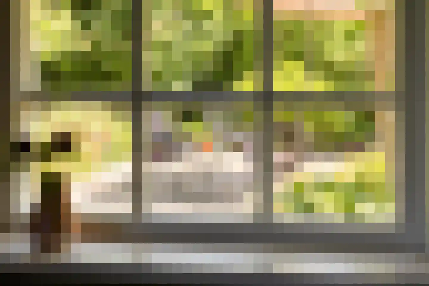 Europasingel 2 Vroomshoop thumbnail 14