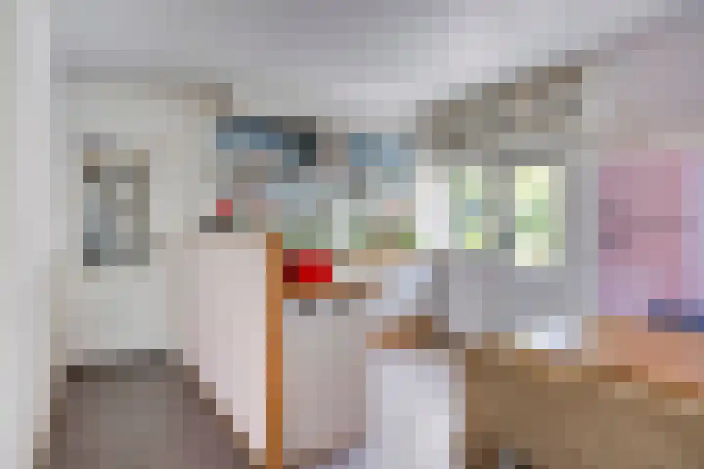 Europasingel 2 Vroomshoop thumbnail 15