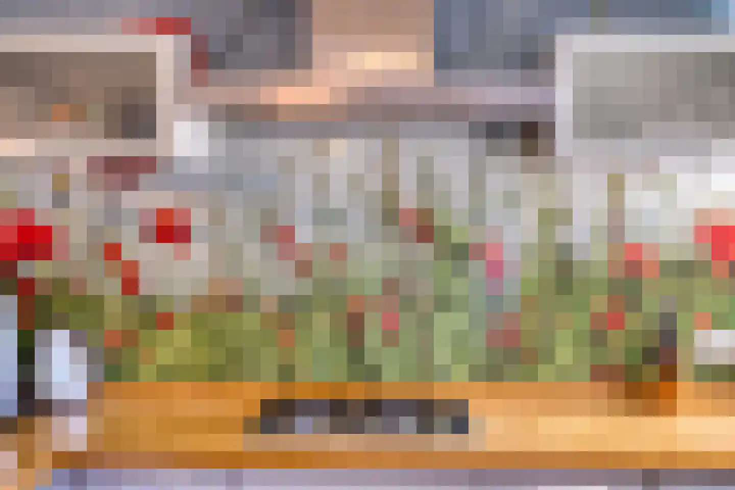 Europasingel 2 Vroomshoop thumbnail 18