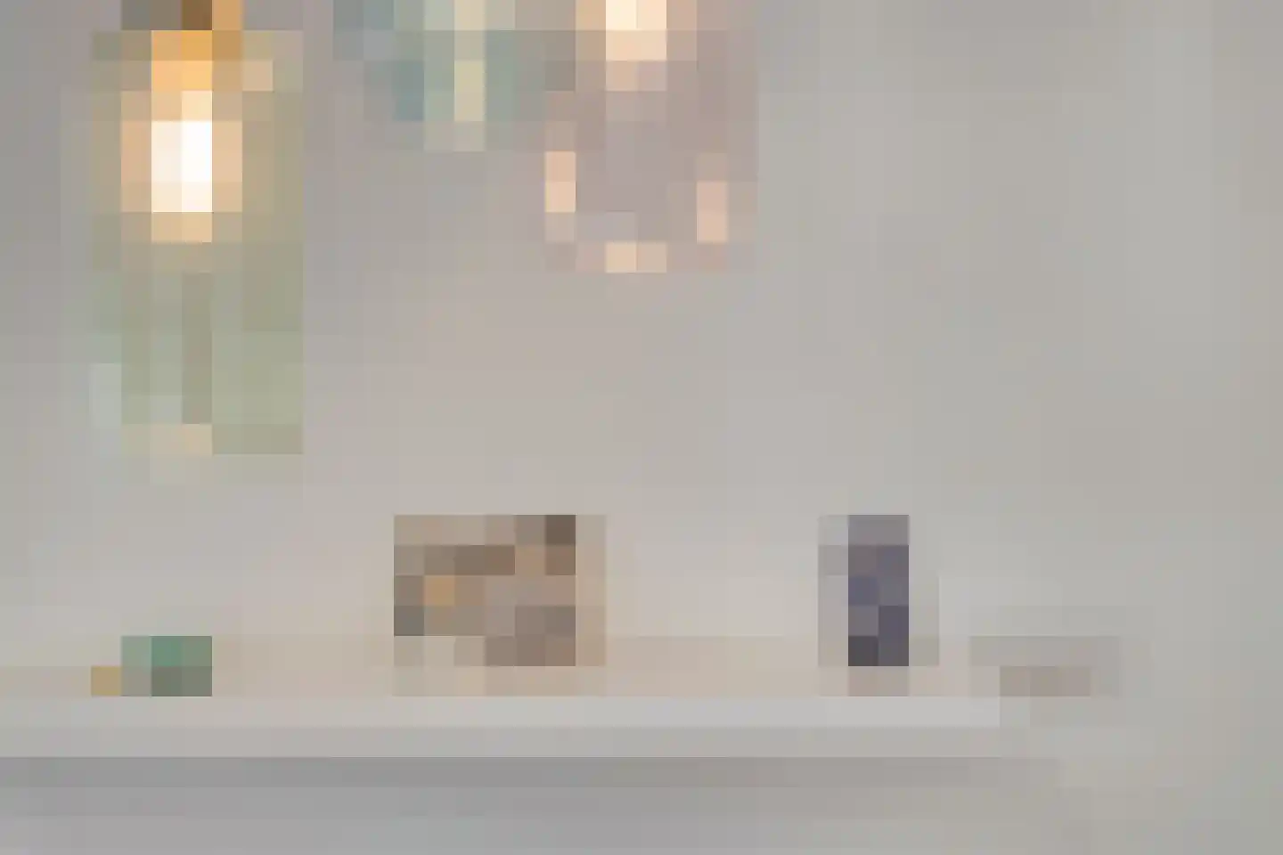 Europasingel 2 Vroomshoop thumbnail 20