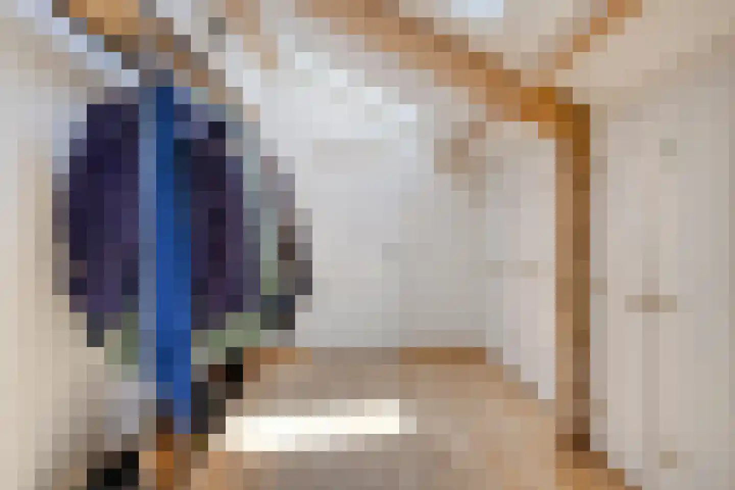 Europasingel 2 Vroomshoop thumbnail 21