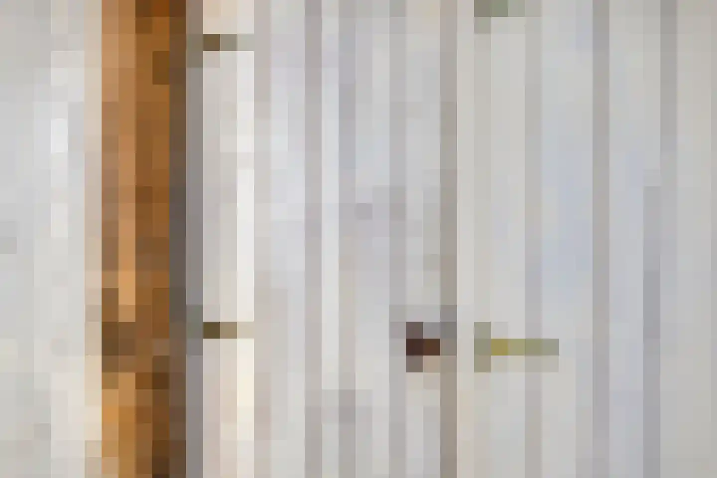 Europasingel 2 Vroomshoop thumbnail 22