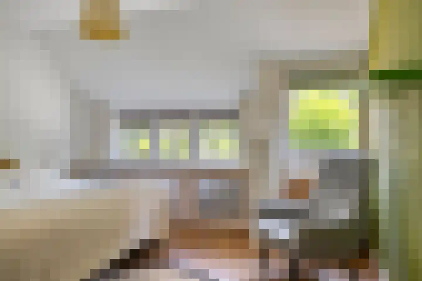 Europasingel 2 Vroomshoop thumbnail 24