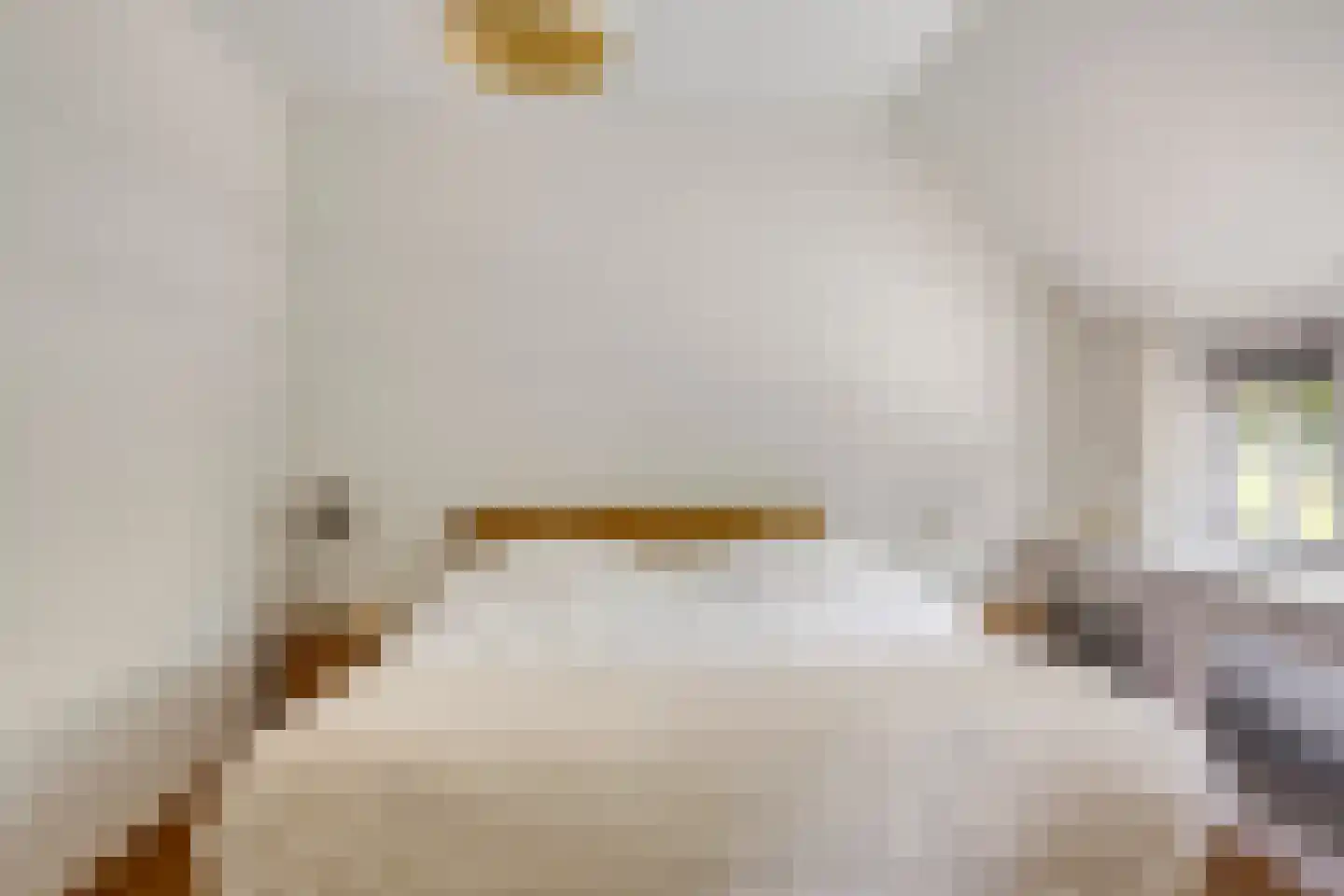 Europasingel 2 Vroomshoop thumbnail 25
