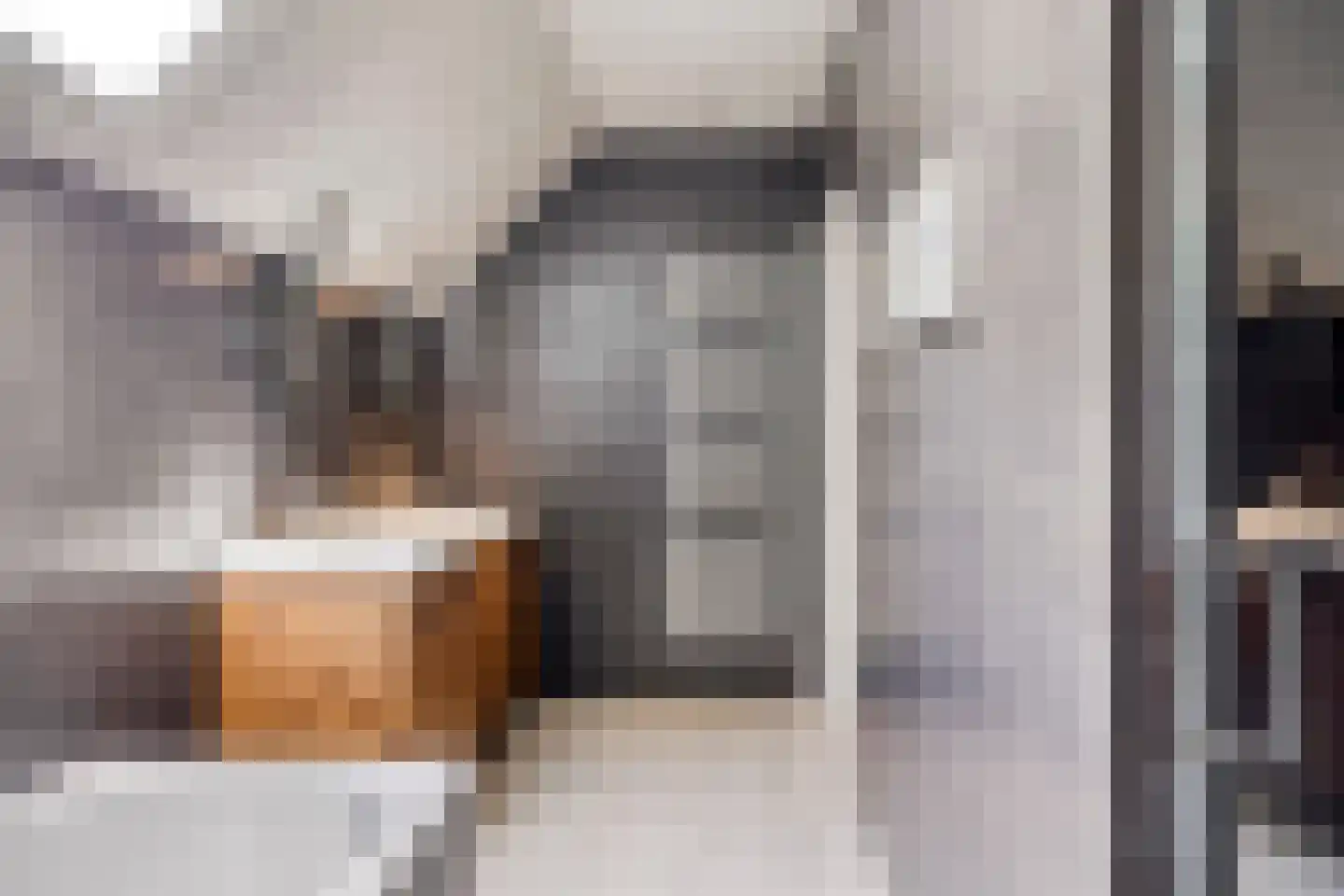 Europasingel 2 Vroomshoop thumbnail 29