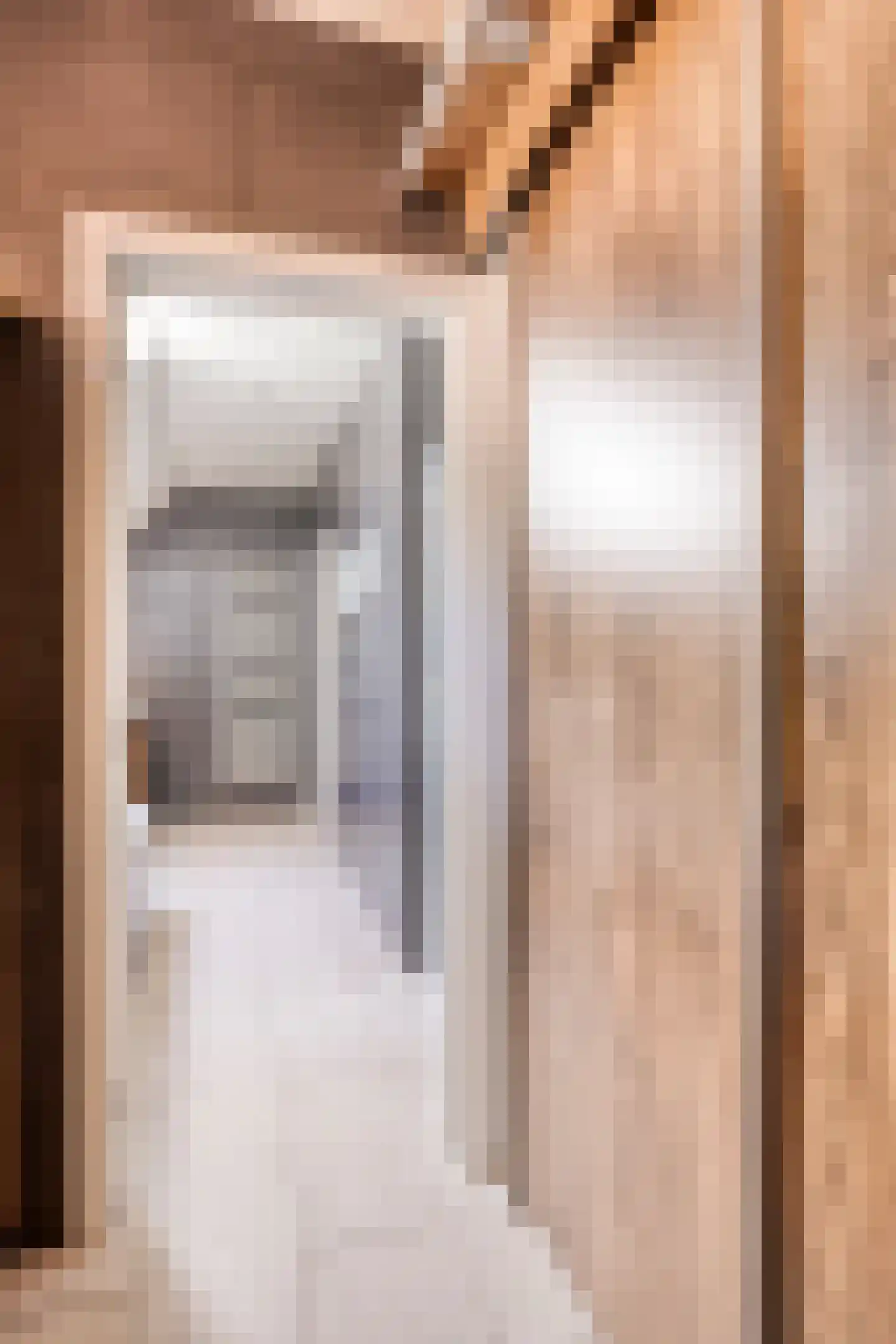 Europasingel 2 Vroomshoop thumbnail 30