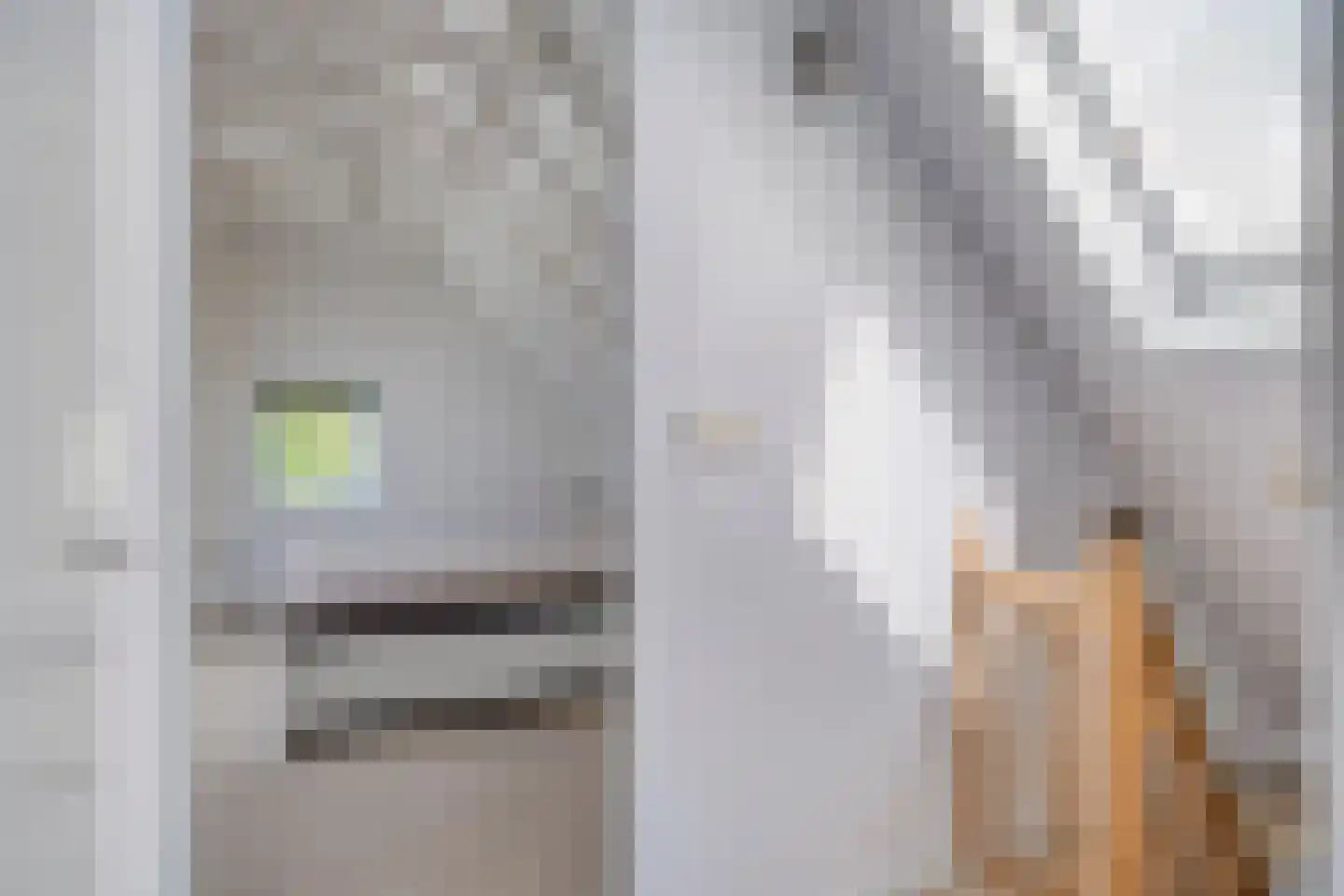 Europasingel 2 Vroomshoop thumbnail 31
