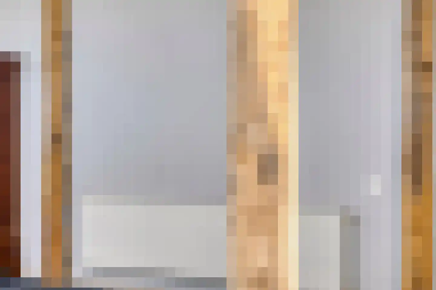 Europasingel 2 Vroomshoop thumbnail 38