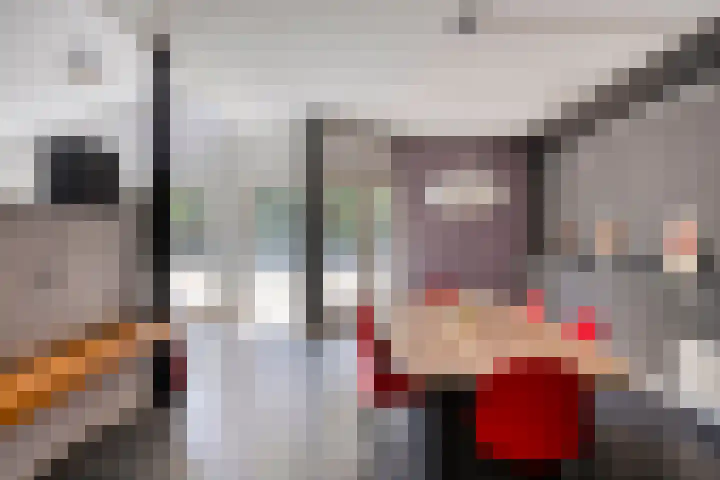 Europasingel 2 Vroomshoop thumbnail 41