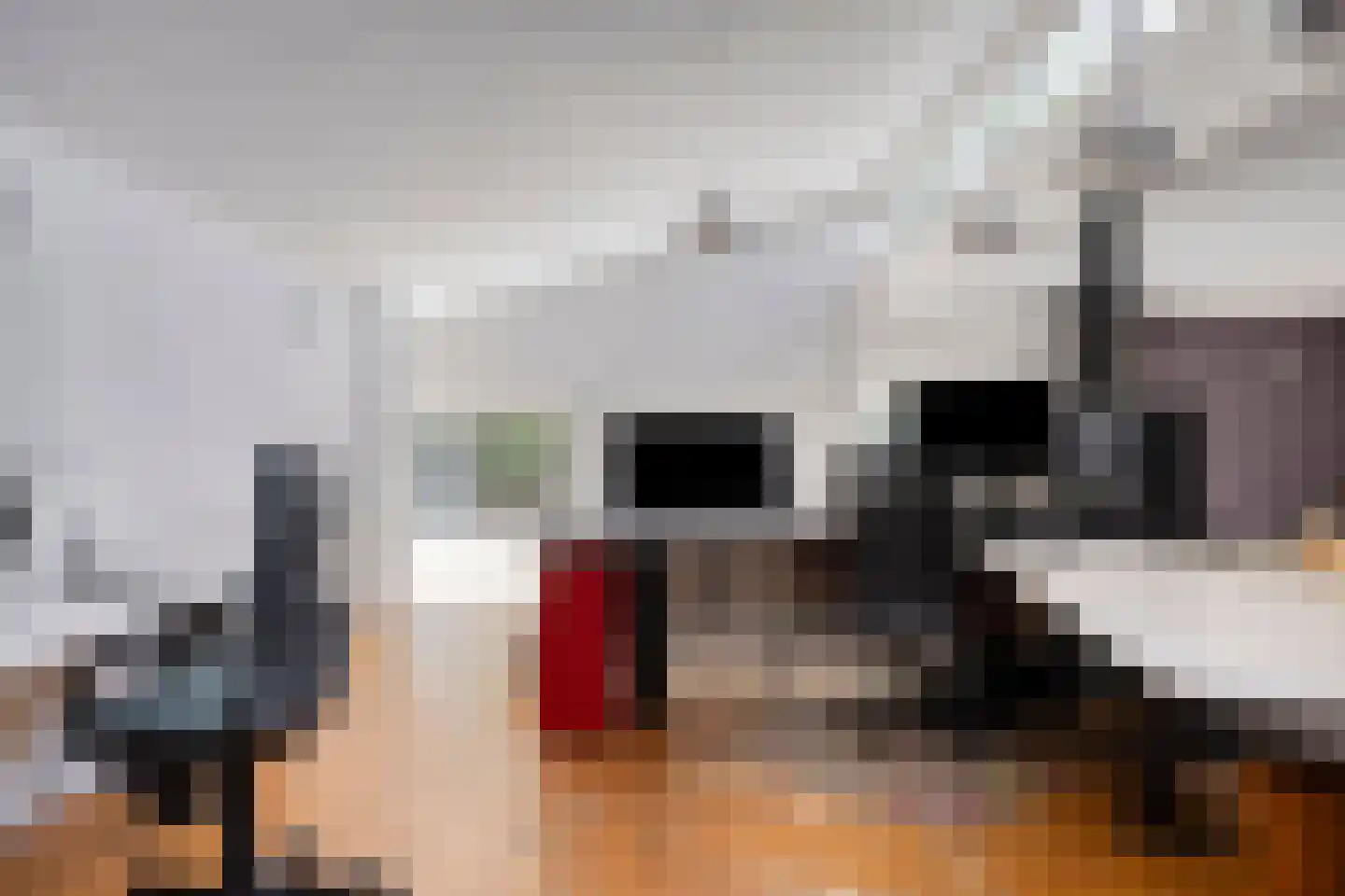 Europasingel 2 Vroomshoop thumbnail 43
