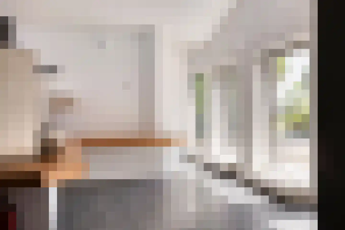 Europasingel 2 Vroomshoop thumbnail 46