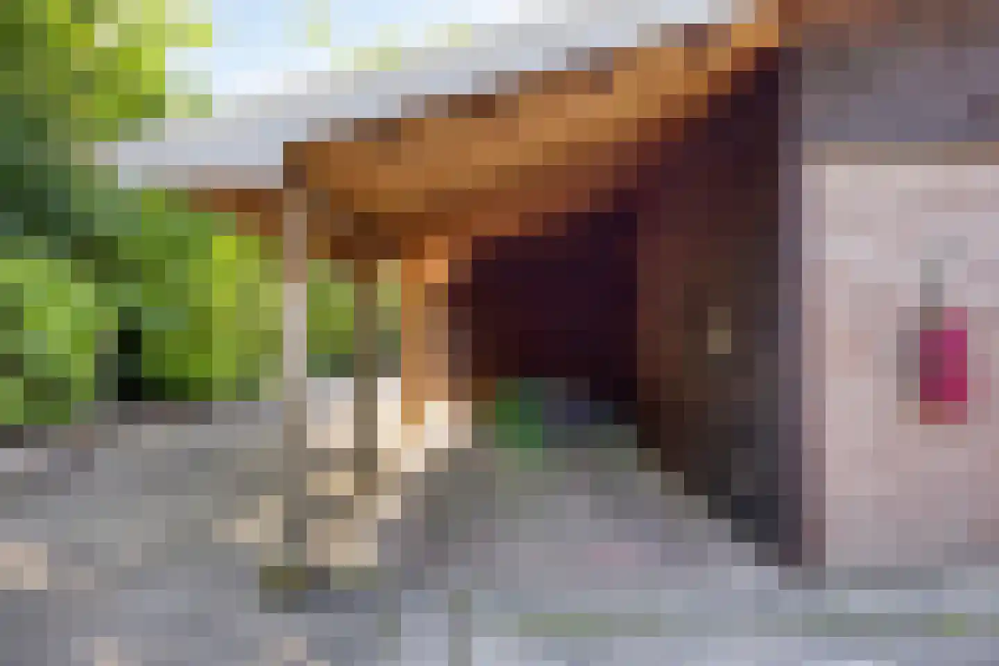 Europasingel 2 Vroomshoop thumbnail 50