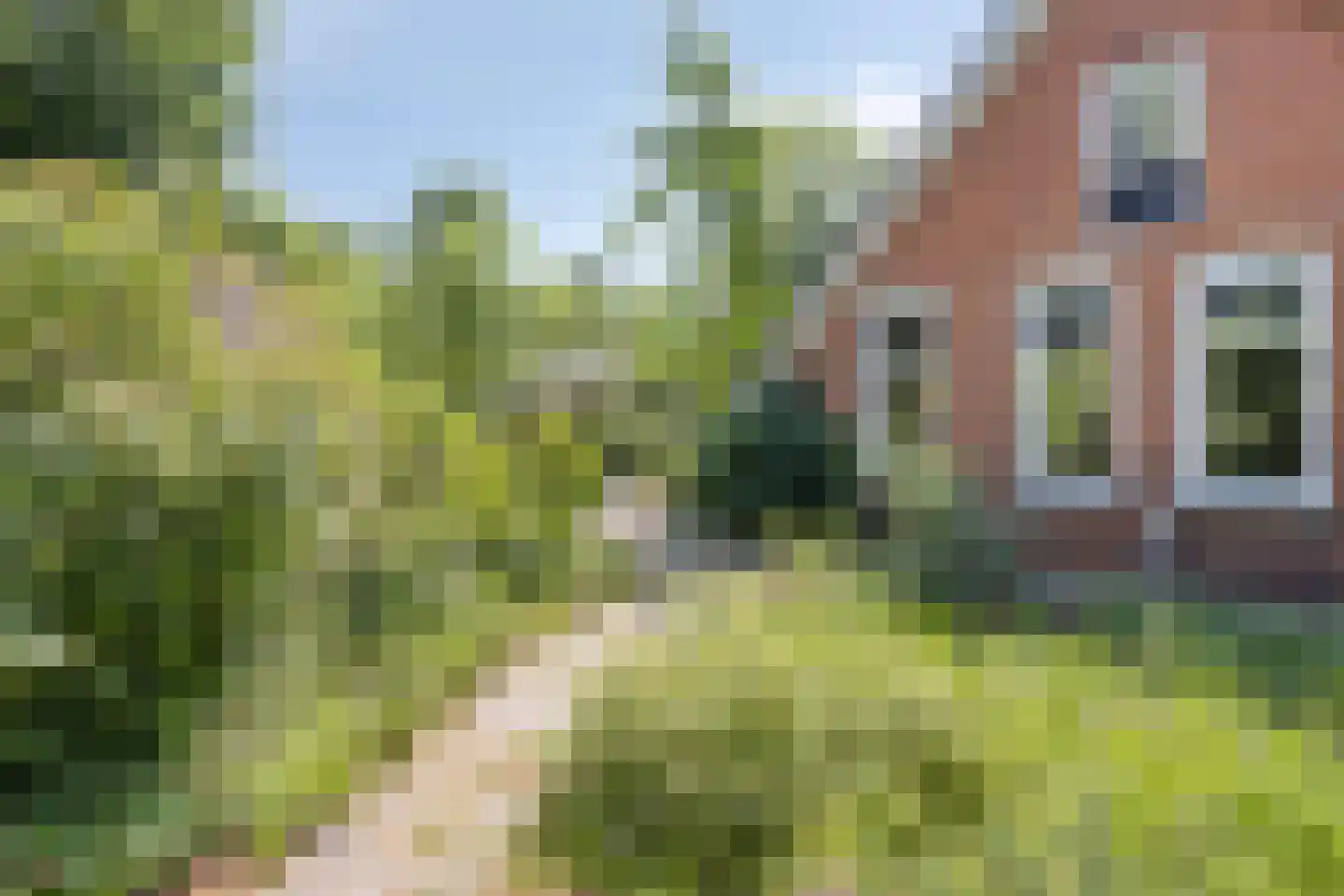 Europasingel 2 Vroomshoop thumbnail 53