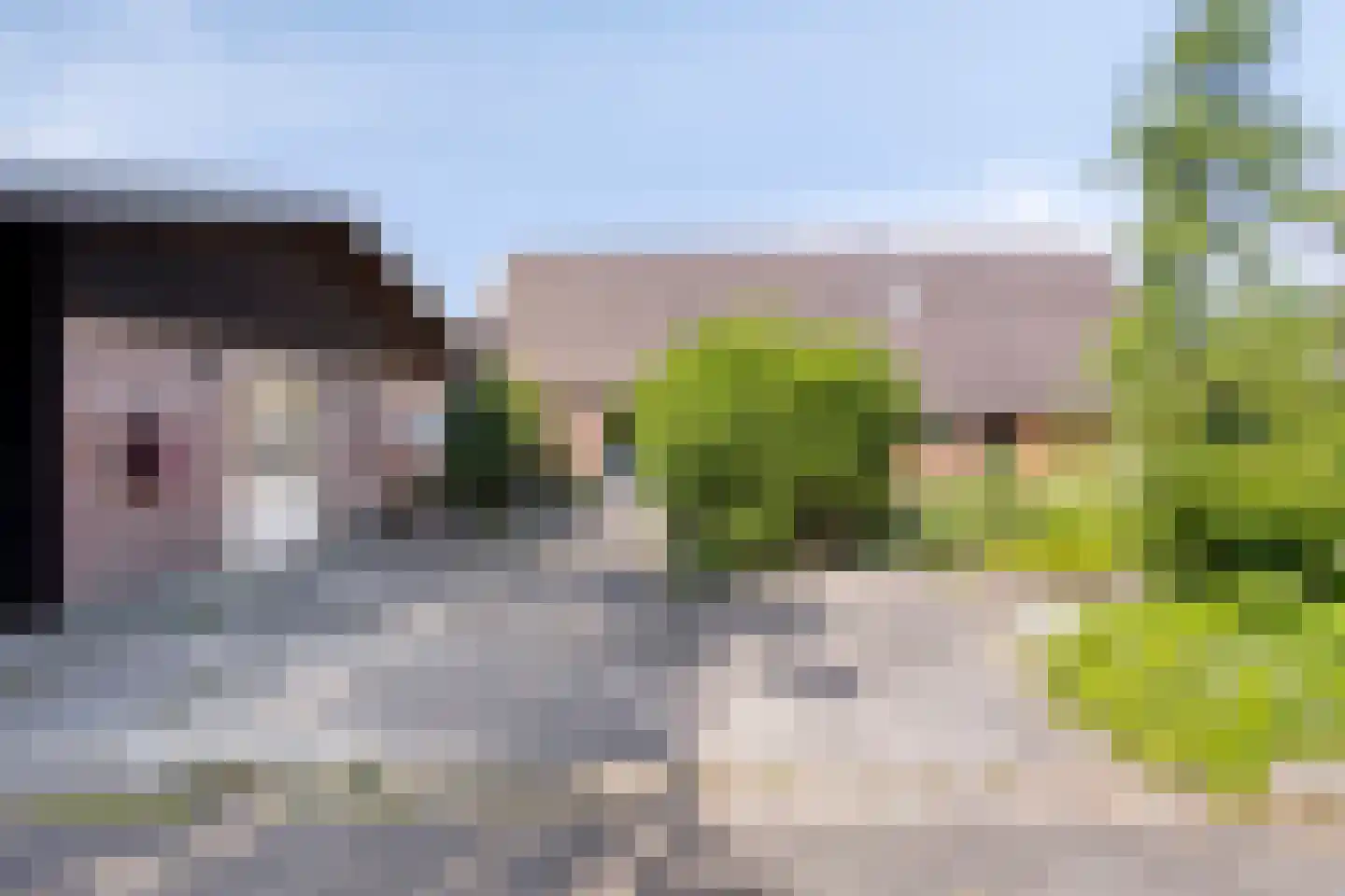 Europasingel 2 Vroomshoop thumbnail 54