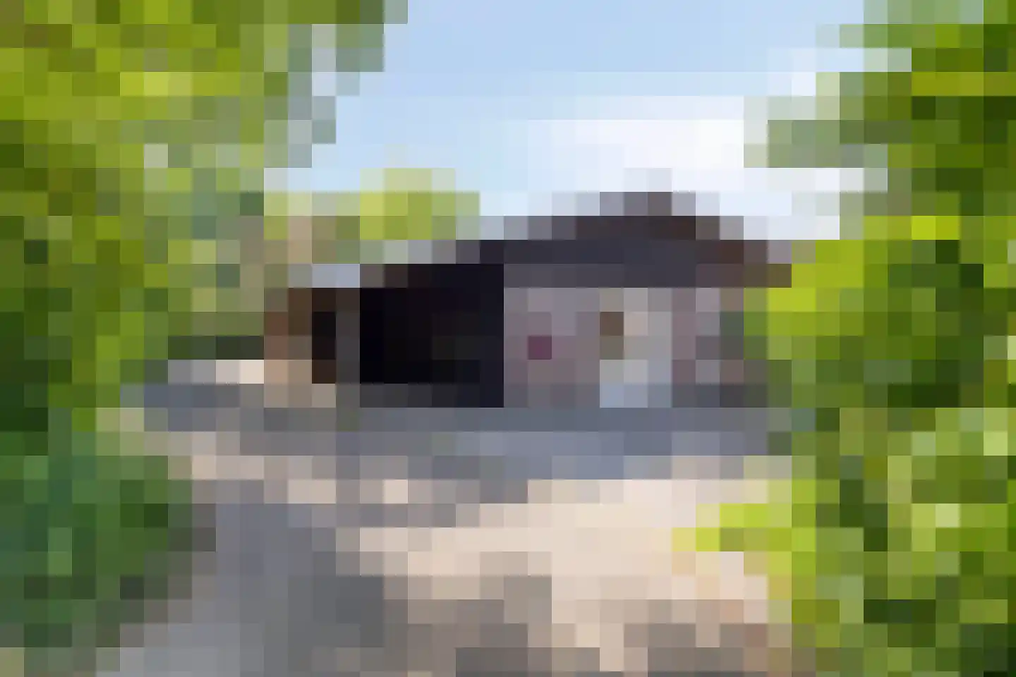 Europasingel 2 Vroomshoop thumbnail 56