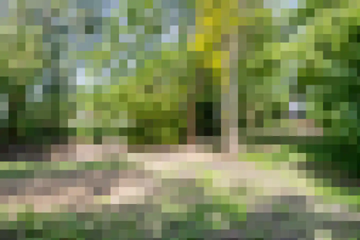 Europasingel 2 Vroomshoop thumbnail 57