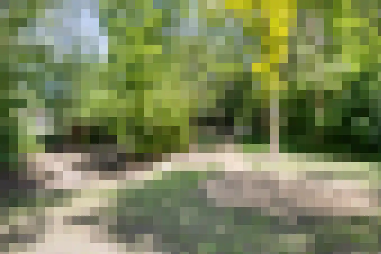 Europasingel 2 Vroomshoop thumbnail 58