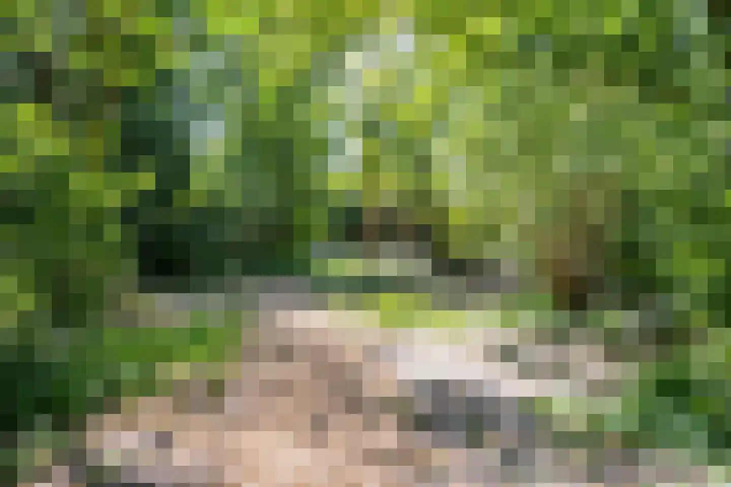 Europasingel 2 Vroomshoop thumbnail 59