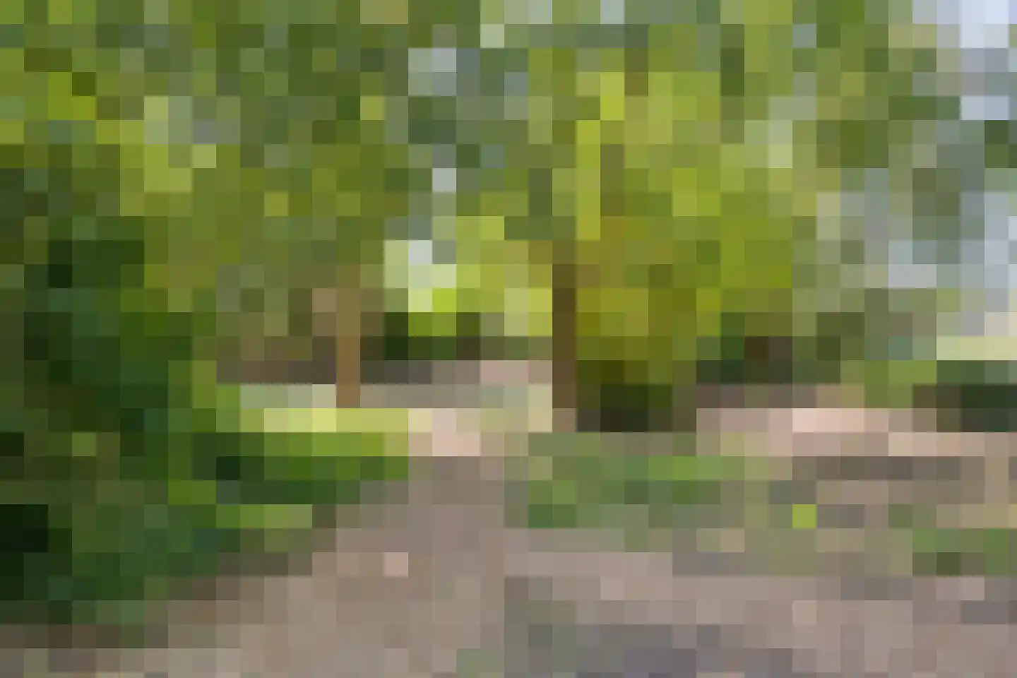 Europasingel 2 Vroomshoop thumbnail 60