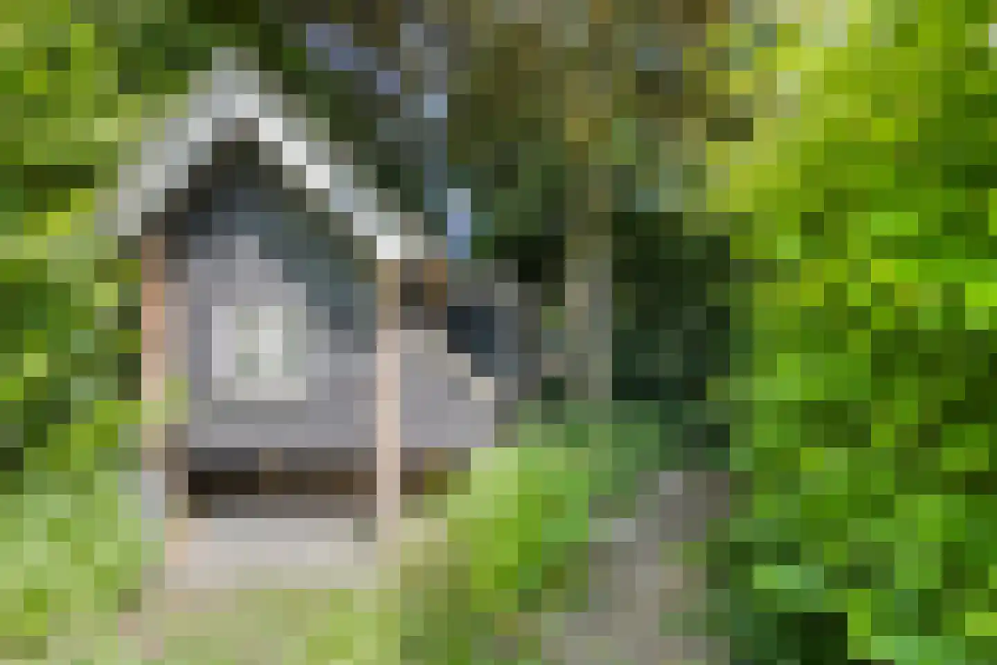 Europasingel 2 Vroomshoop thumbnail 61