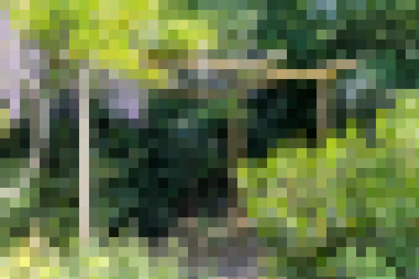 Europasingel 2 Vroomshoop thumbnail 62