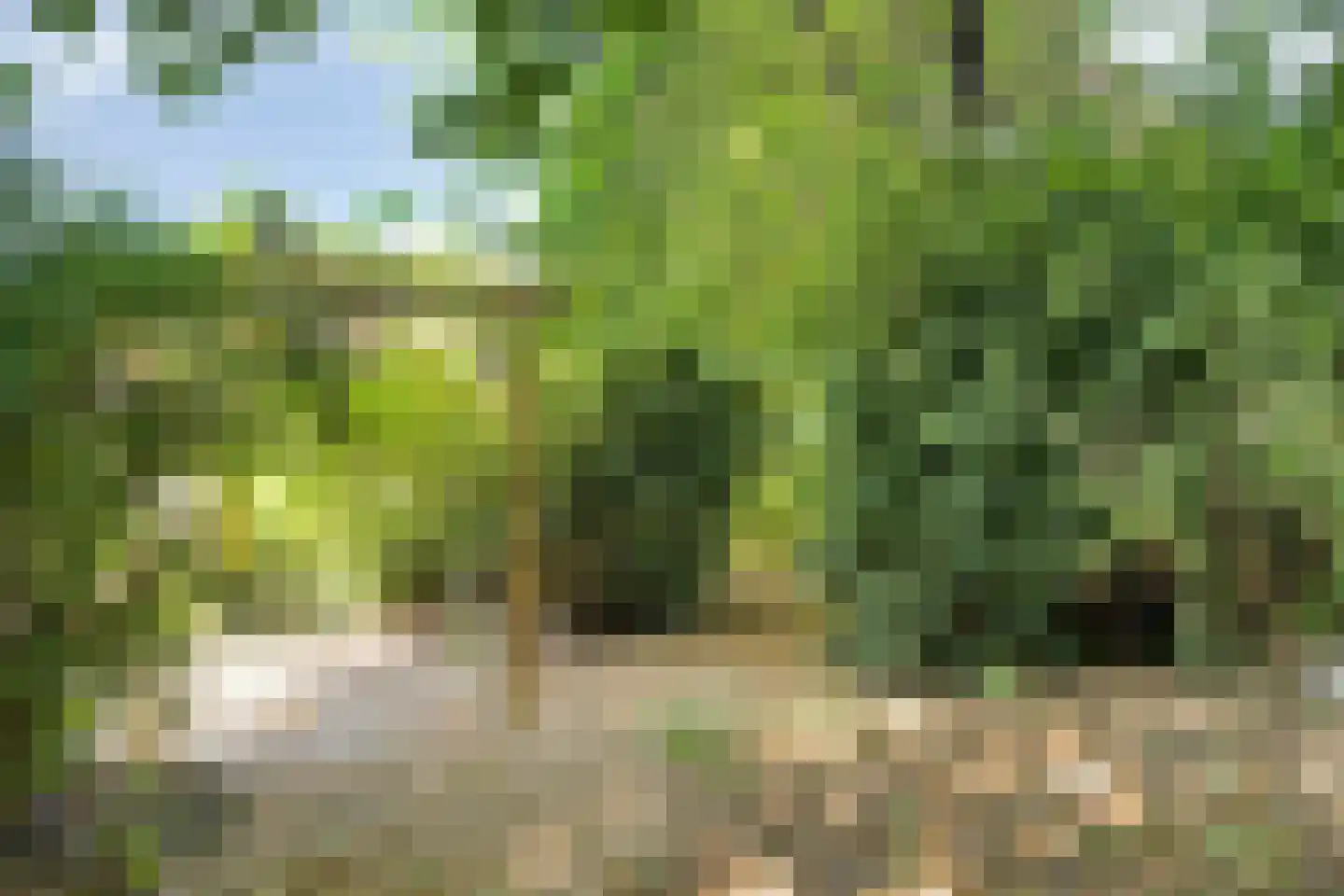 Europasingel 2 Vroomshoop thumbnail 63