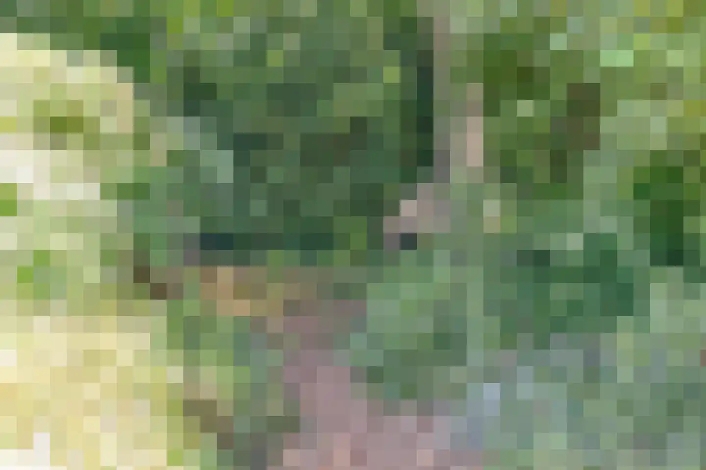 Europasingel 2 Vroomshoop thumbnail 65