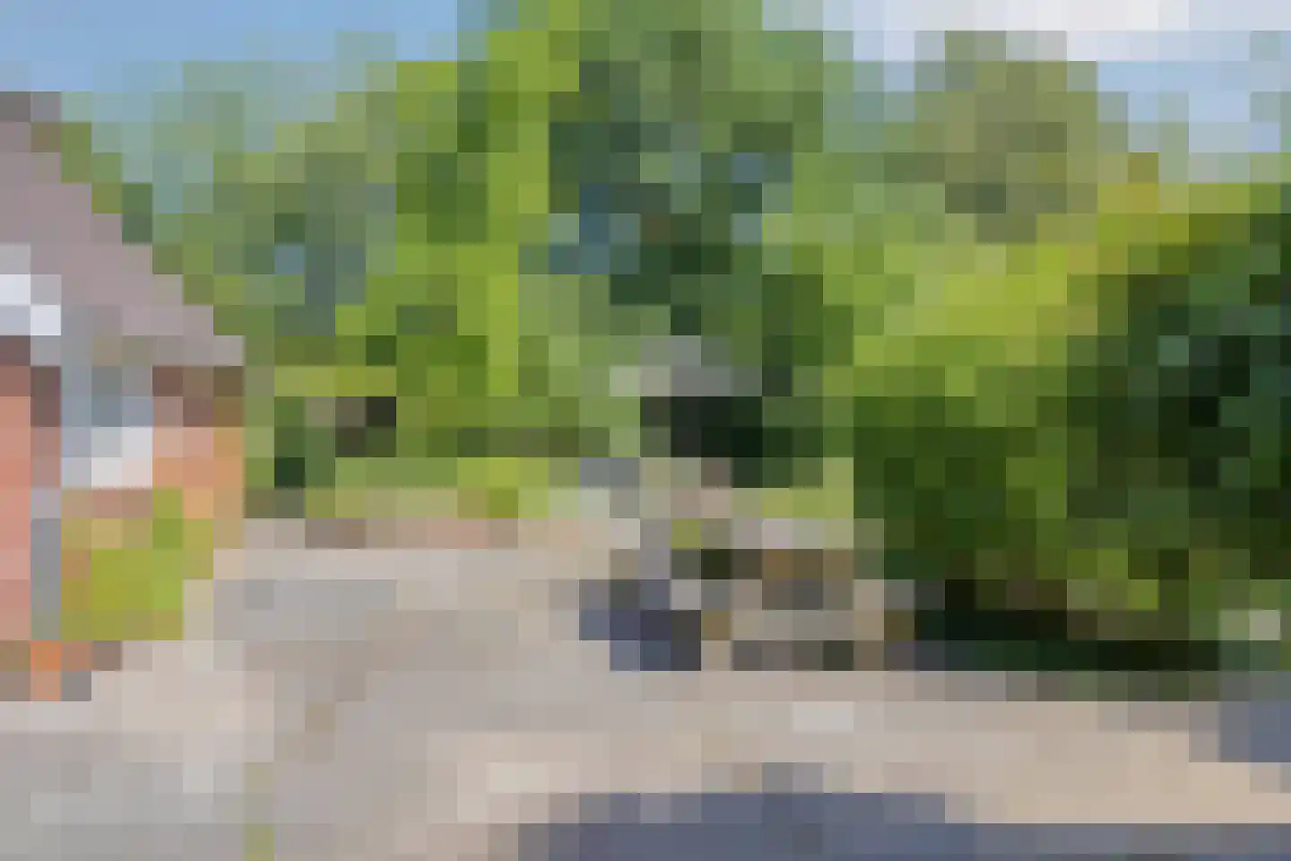 Europasingel 2 Vroomshoop thumbnail 66
